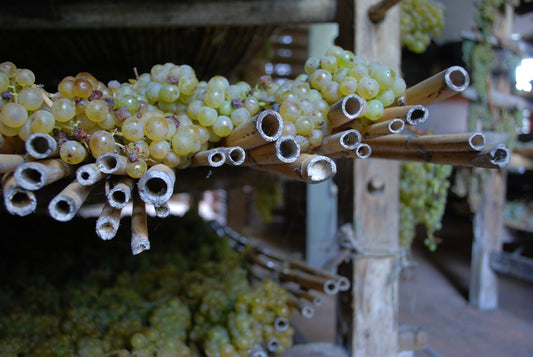 Vin Santo: il nettare dorato della tradizione italiana