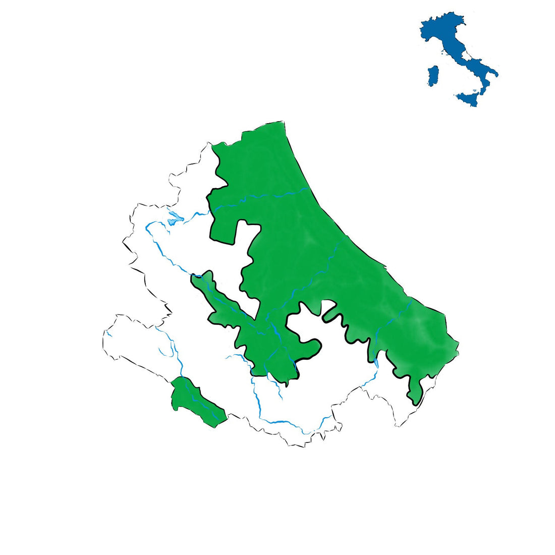 Abruzzo DOC: il cuore vitivinicolo dell’Appennino adriatico