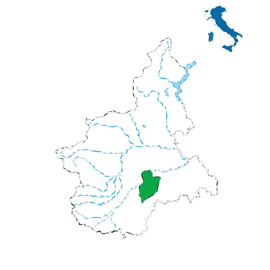 Barbera d’Alba DOC: eleganza e versatilità tra le colline del Roero e delle Langhe