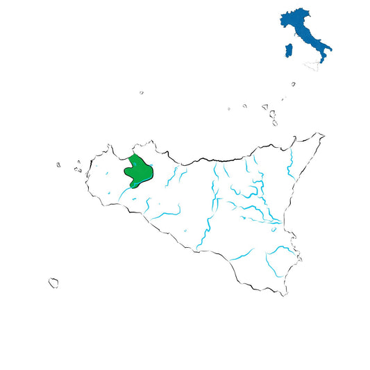 Alcamo DOC: i vini della Sicilia occidentale