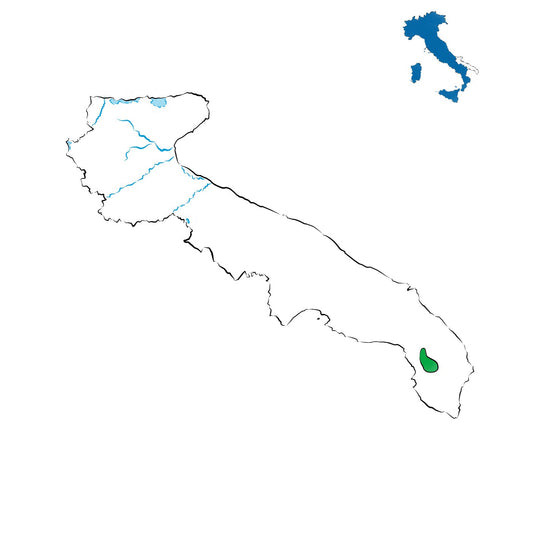 Alezio DOC: i vini della tradizione salentina