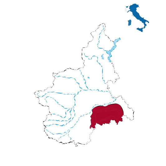Alta Langa DOCG: le bollicine eleganti delle colline piemontesi