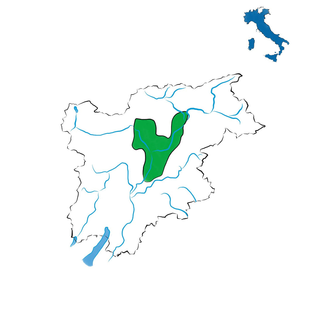 Alto Adige DOC: l’eccellenza vitivinicola delle Dolomiti