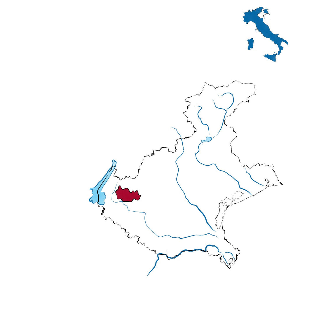 Amarone della Valpolicella DOCG: il re dei rossi veronesi