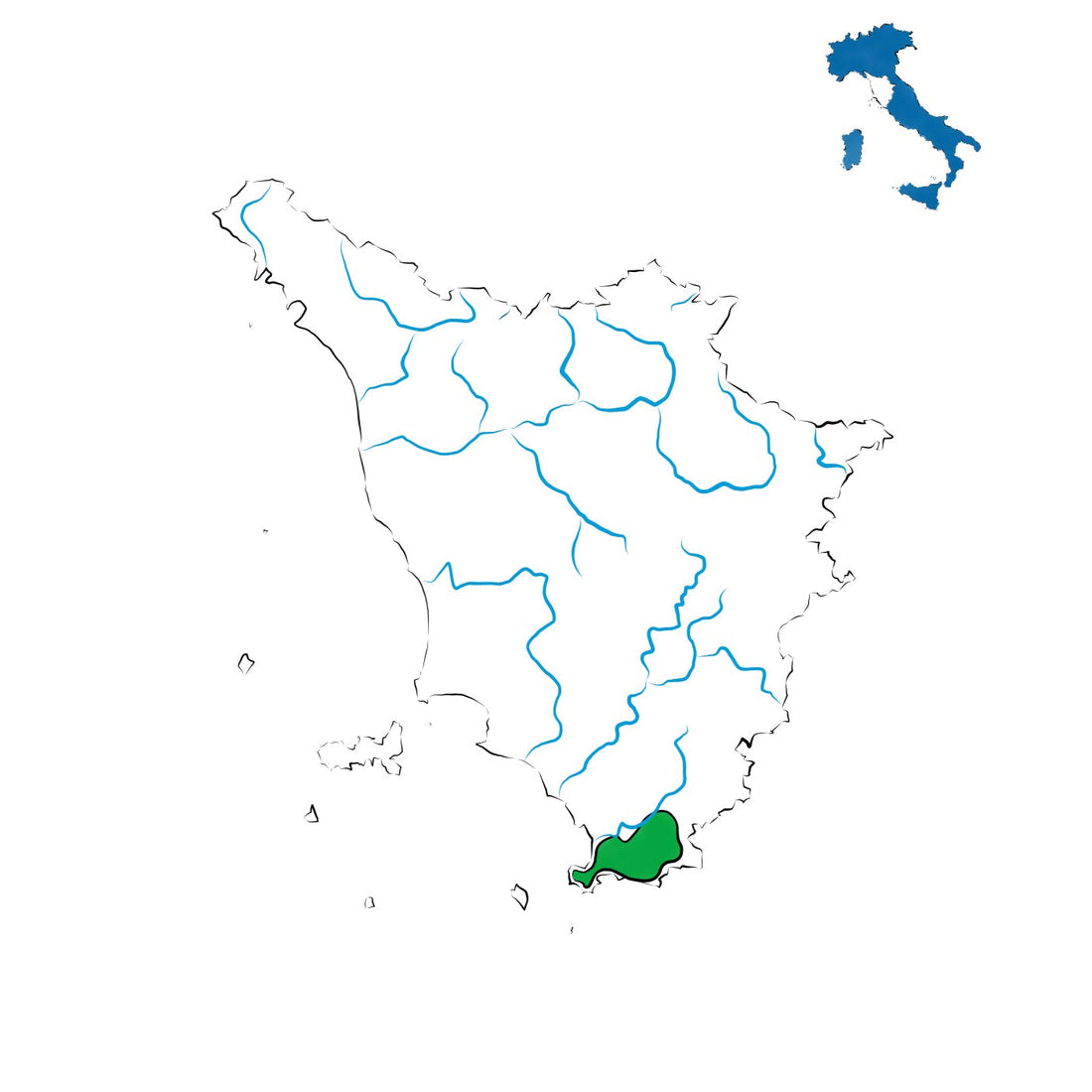 Ansonica Costa dell'Argentario DOC: il bianco fresco dell’Argentario