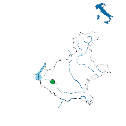 Arcole DOC: i vini delle terre veronesi