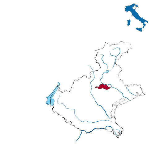 Asolo Prosecco DOCG: l’eleganza del Montello e dei Colli Asolani