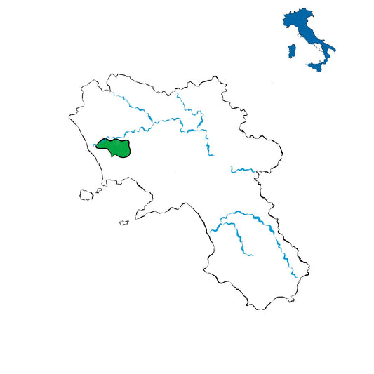 Aversa DOC: la terra dell’Asprinio