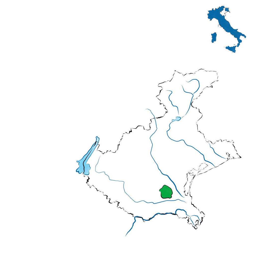 Bagnoli di Sopra DOC: vini della pianura padovana