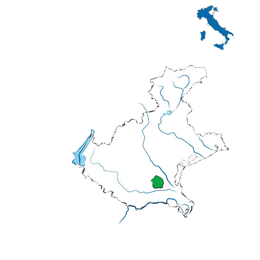 Bagnoli di Sopra DOC: vini della pianura padovana