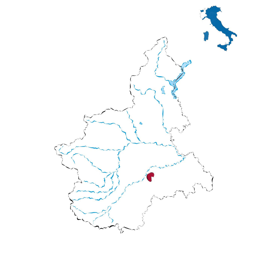 Barbaresco DOCG: l’eleganza del Nebbiolo nelle Langhe