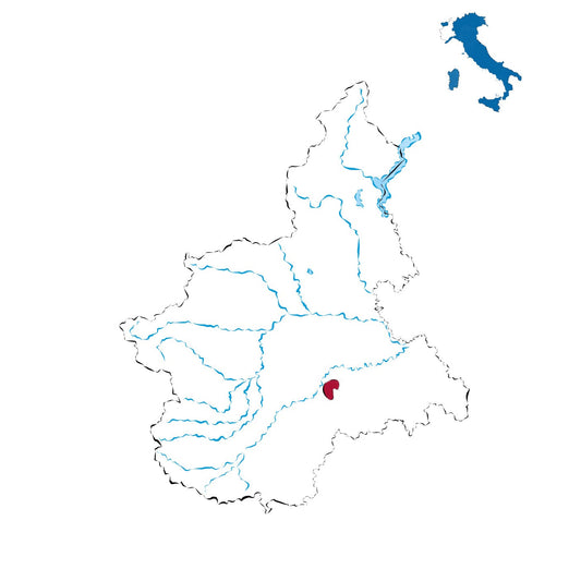 Barbaresco DOCG: l’eleganza del Nebbiolo nelle Langhe