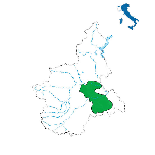 Barbera del Monferrato DOC: il rosso versatile delle colline piemontesi