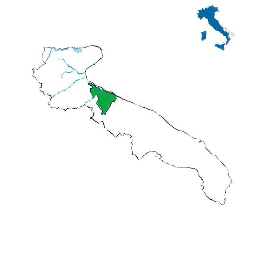 Barletta DOC: i vini della Puglia settentrionale