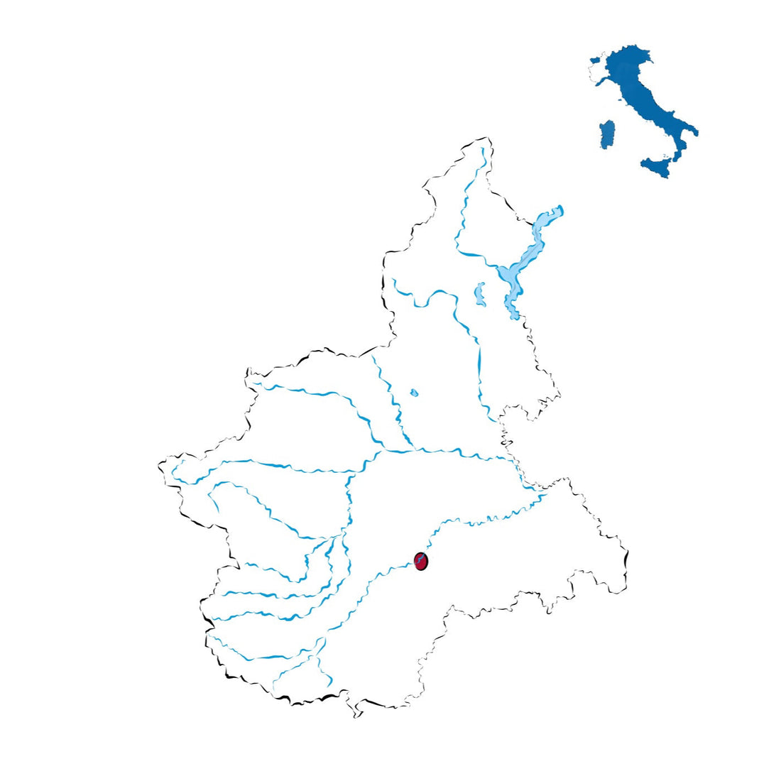 Barolo DOCG: il Re dei Vini, il vino dei Re