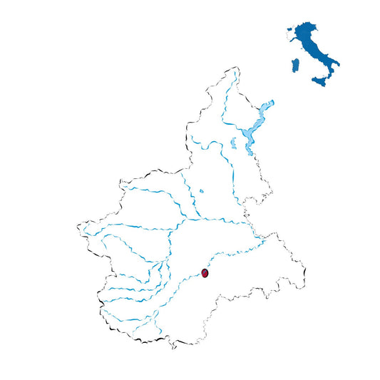 Barolo DOCG: il Re dei Vini, il vino dei Re