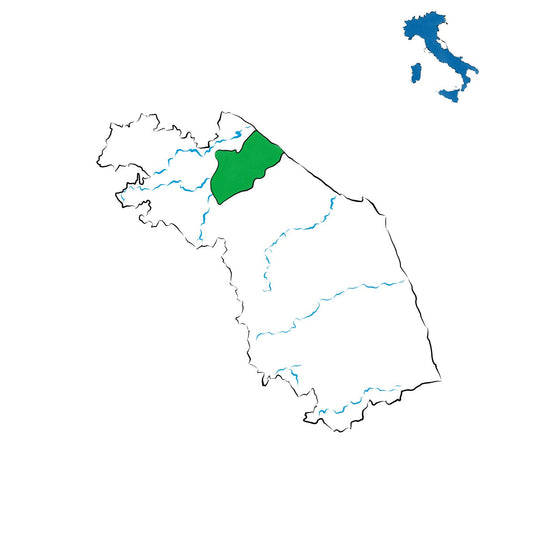 Bianchello del Metauro DOC: la freschezza bianca delle Marche