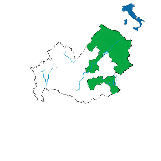 Biferno DOC: il vino storico del Molise