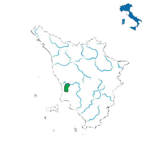 Bolgheri DOC: il grande rosso della costa toscana