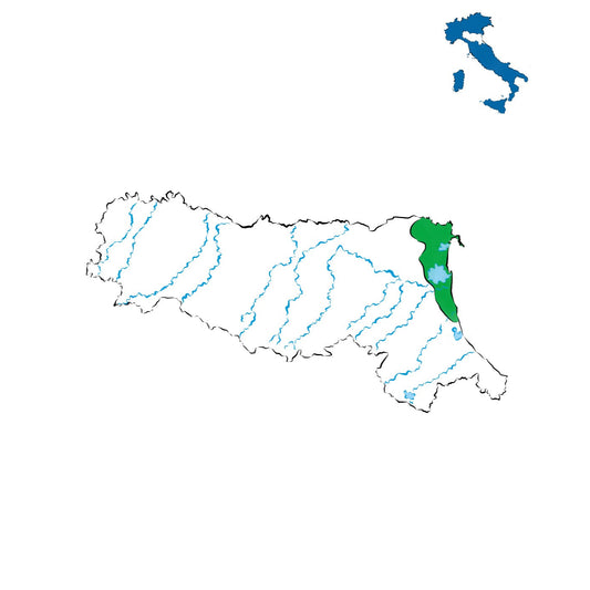 Bosco Eliceo DOC: i vini della costa ferrarese