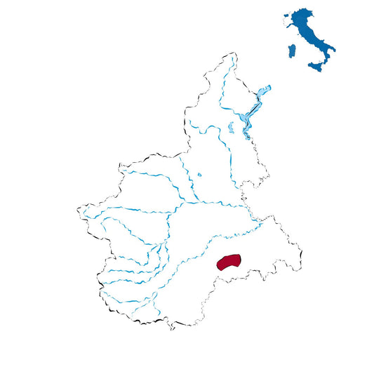 Brachetto d’Acqui DOCG: l’eleganza aromatica del Piemonte