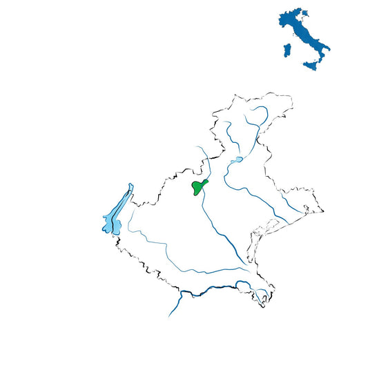 Breganze DOC: il vino ai piedi dell’Altopiano di Asiago