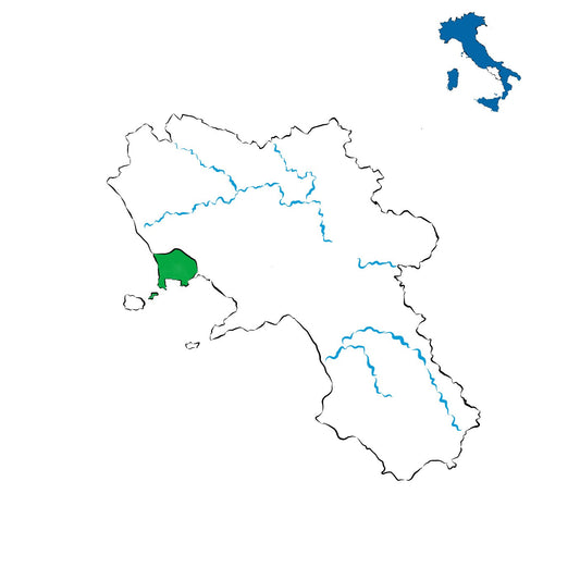 Campi Flegrei DOC: la viticoltura vulcanica di Napoli