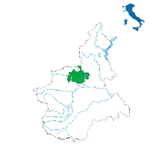 Canavese DOC: il vino versatile delle colline torinesi