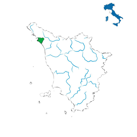 Candia dei Colli Apuani DOC: il bianco della Lunigiana