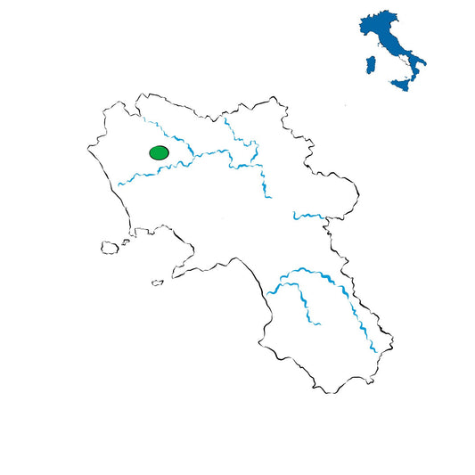 Casavecchia di Pontelatone DOC: il rosso antico della Campania