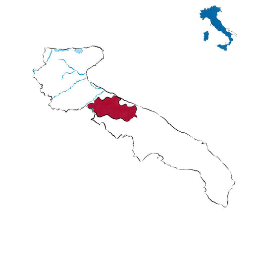 Castel del Monte Nero di Troia Riserva DOCG: il rosso robusto della Puglia settentrionale