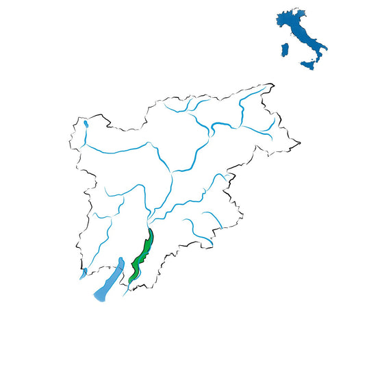 Casteller DOC: il vino rosso simbolo di Trento