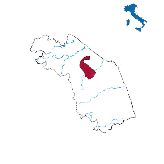 Castelli di Jesi Verdicchio Riserva DOCG: il grande bianco marchigiano