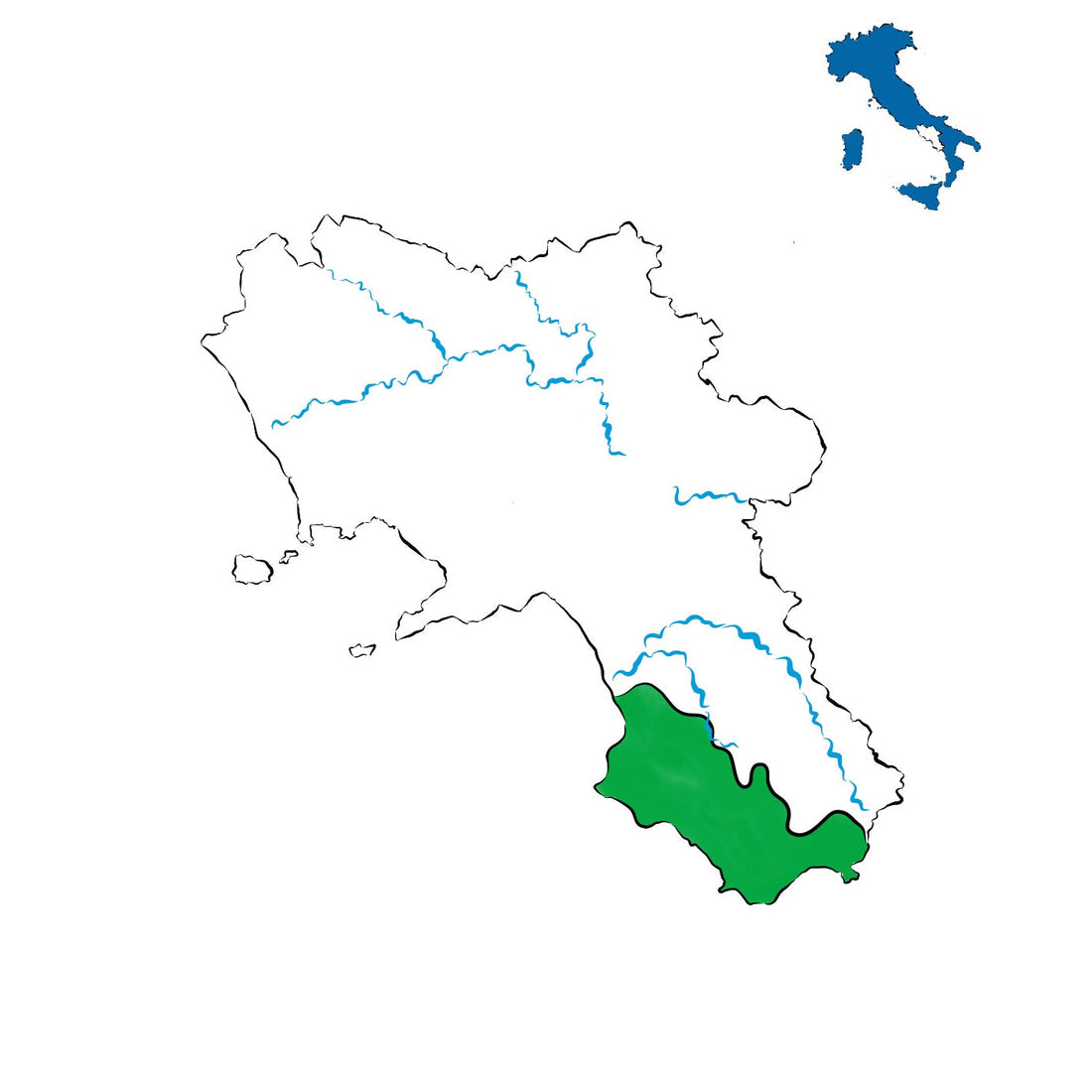 Cilento DOC: il vino delle colline e del mare del Cilento