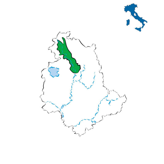 Colli Altotiberini DOC: vini eleganti tra Umbria e Toscana