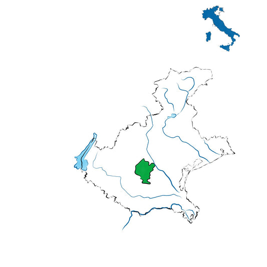 Colli Berici DOC: il cuore rosso del vicentino