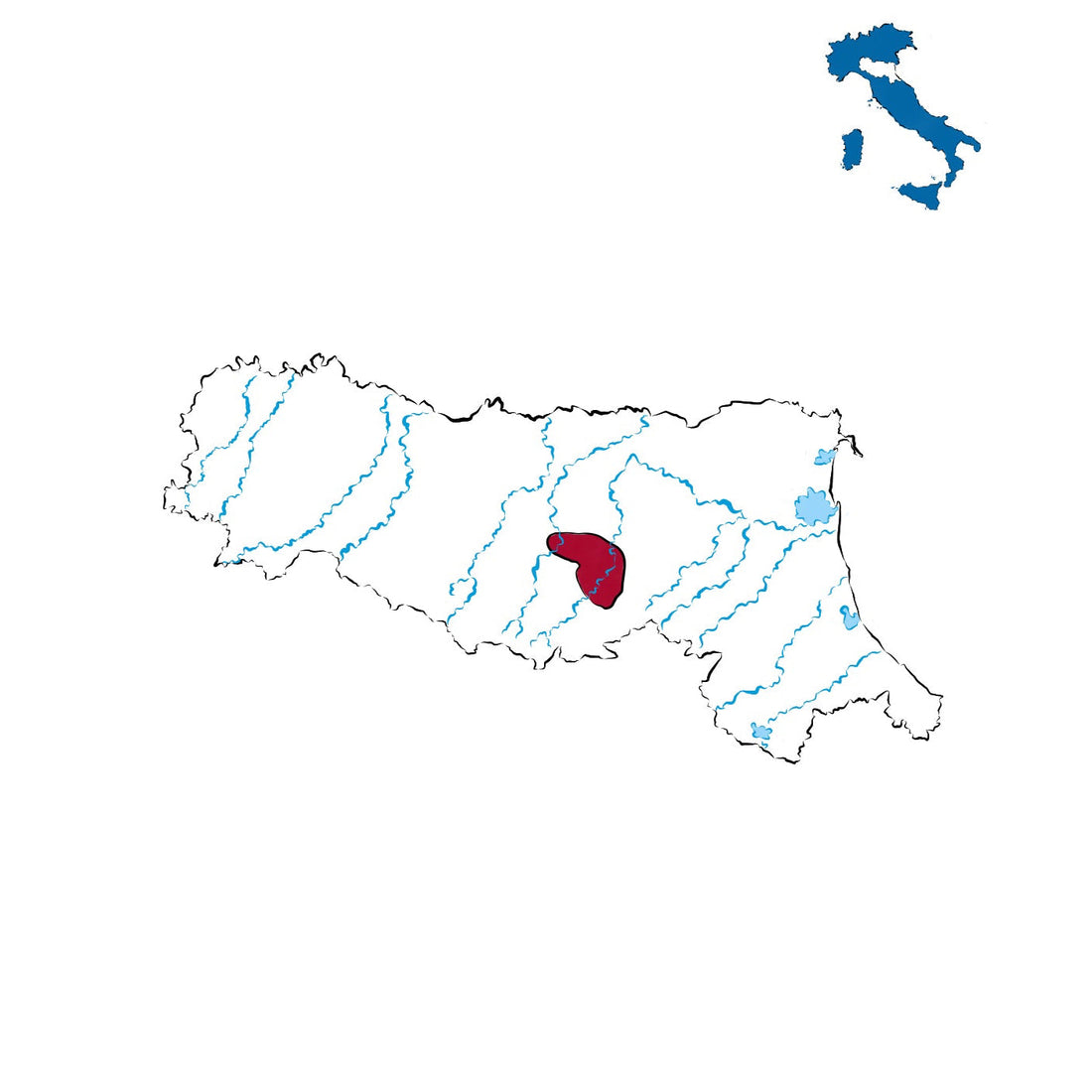 Colli Bolognesi Pignoletto DOCG: l’eccellenza dei vini bianchi dell’Appennino emiliano