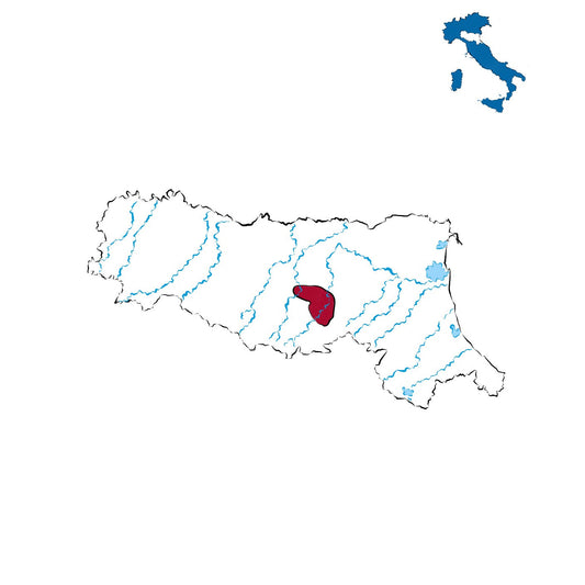 Colli Bolognesi Pignoletto DOCG: l’eccellenza dei vini bianchi dell’Appennino emiliano