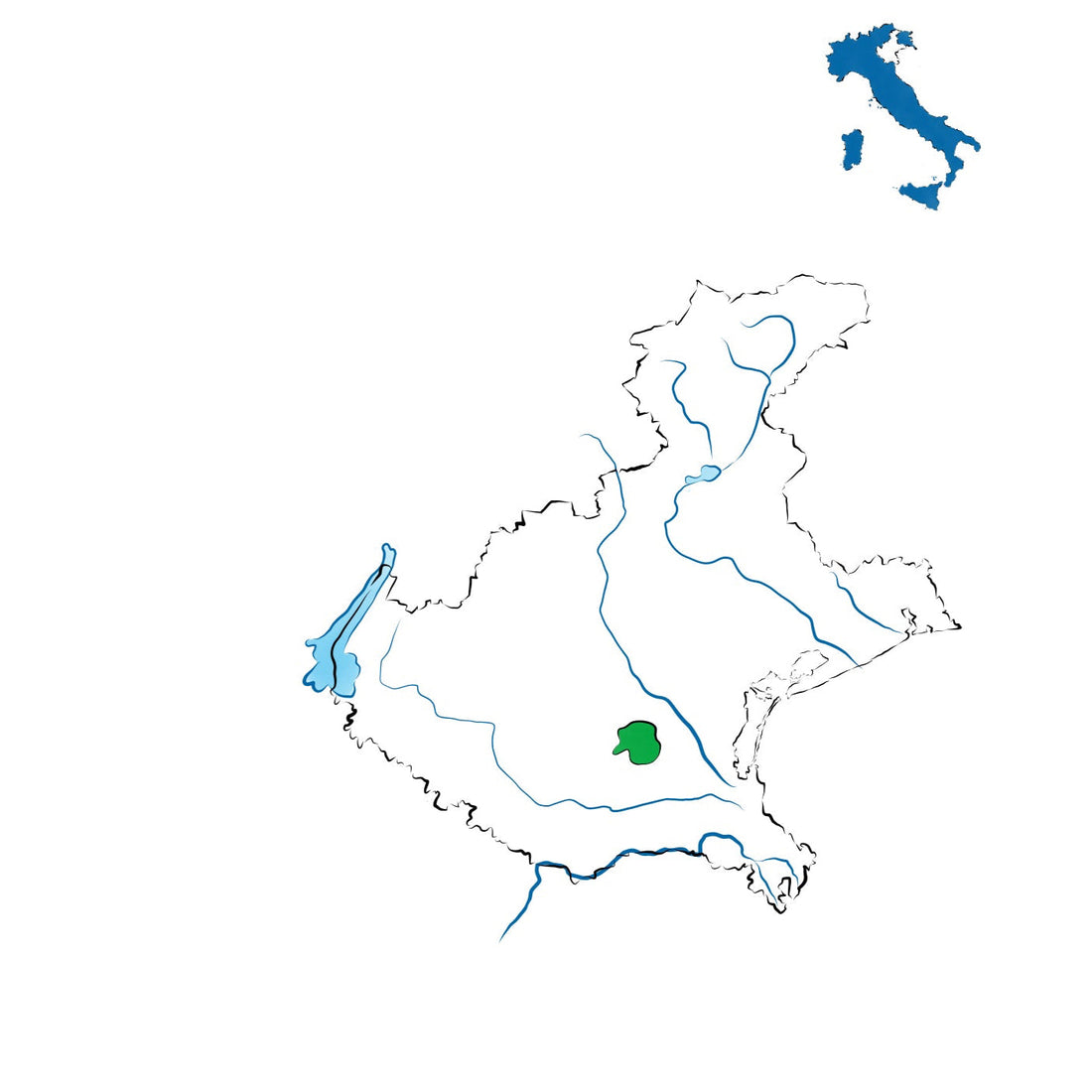 Colli Euganei DOC: l’anima vulcanica dei colli padovani
