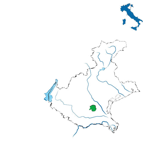 Colli Euganei DOC: l’anima vulcanica dei colli padovani