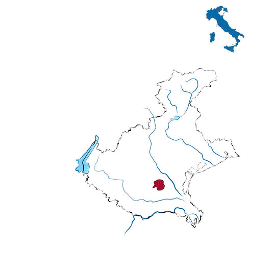 Colli Euganei Fior d’Arancio DOCG: il Moscato Giallo dei vulcani