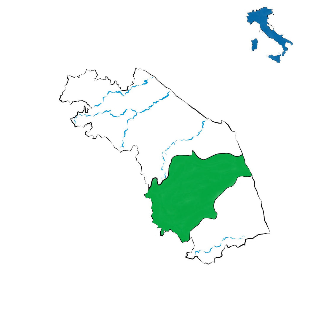 Colli Maceratesi DOC: l’anima del bianco marchigiano e del rosso autoctono