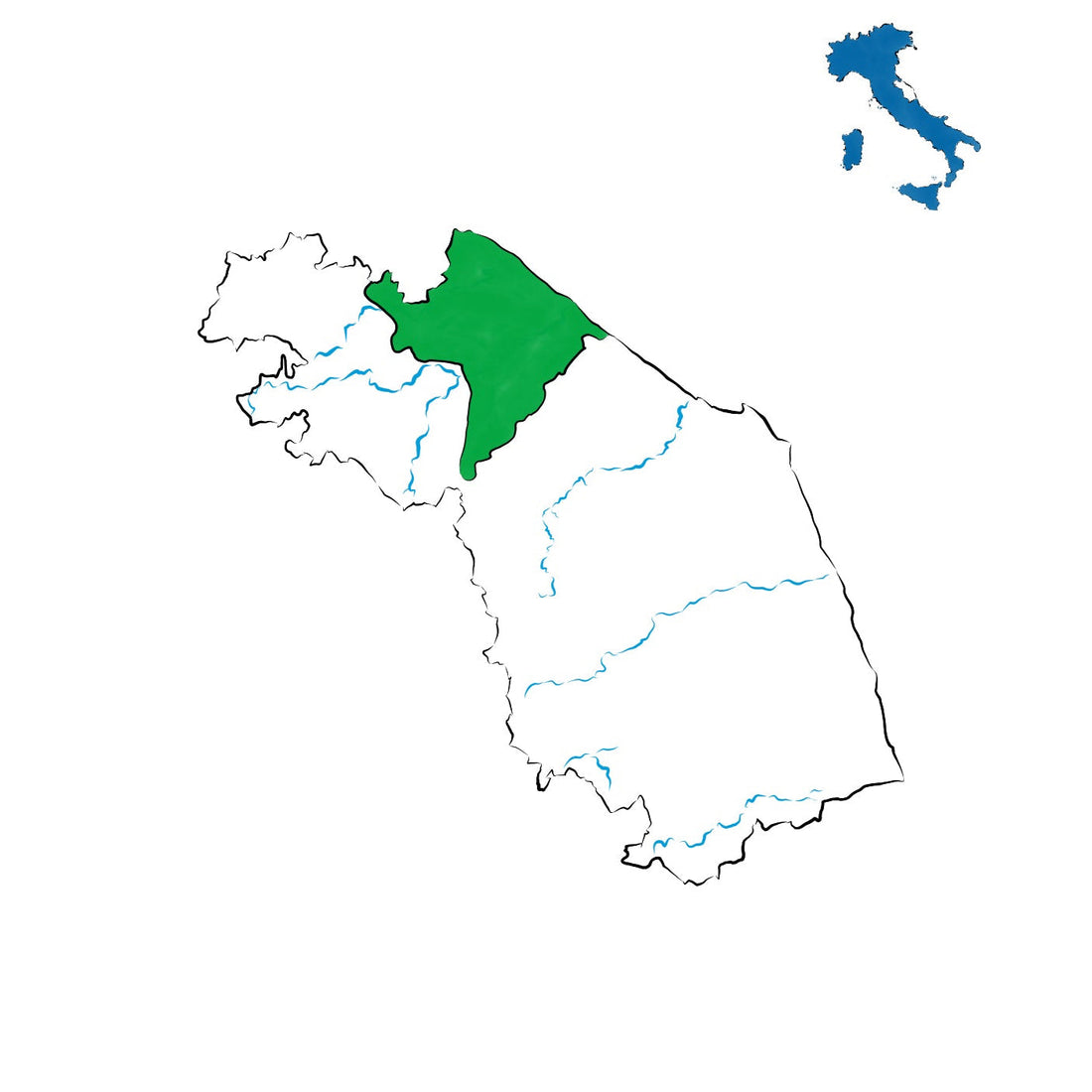Colli Pesaresi DOC: la tradizione vitivinicola del nord delle Marche
