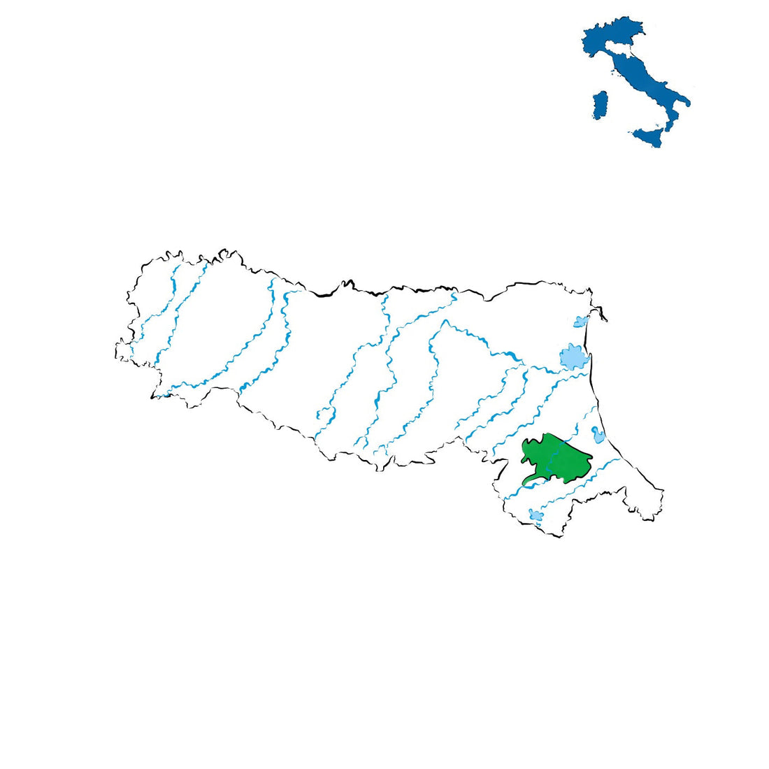 Colli Romagna Centrale DOC: vini delle colline romagnole