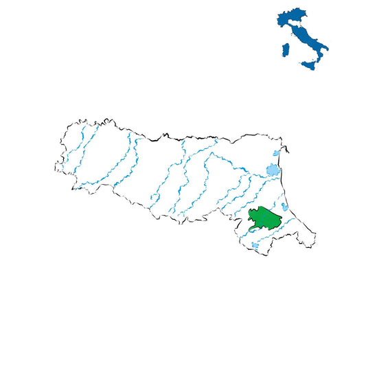 Colli Romagna Centrale DOC: vini delle colline romagnole