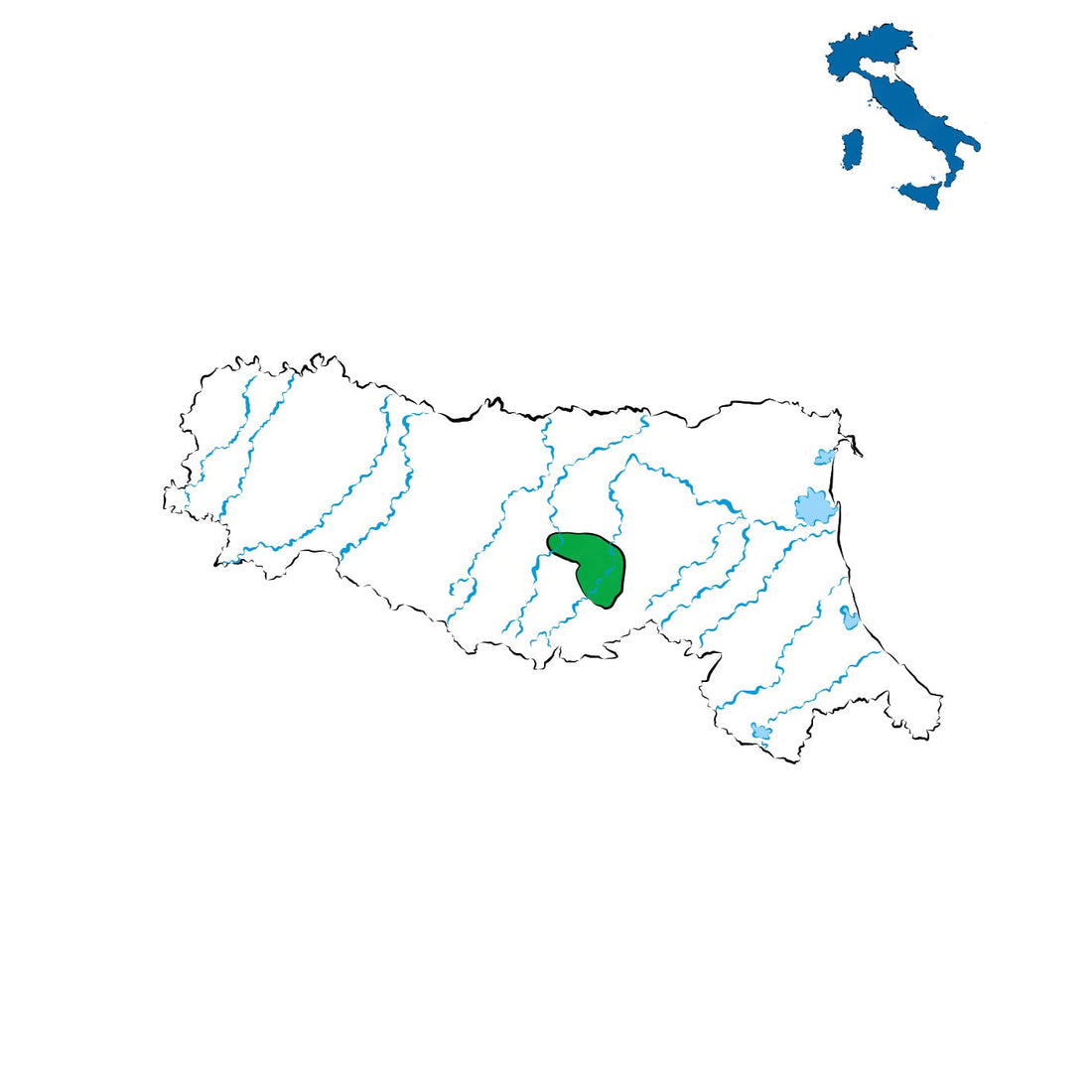 Colli Bolognesi DOC: vini tra le colline bolognesi