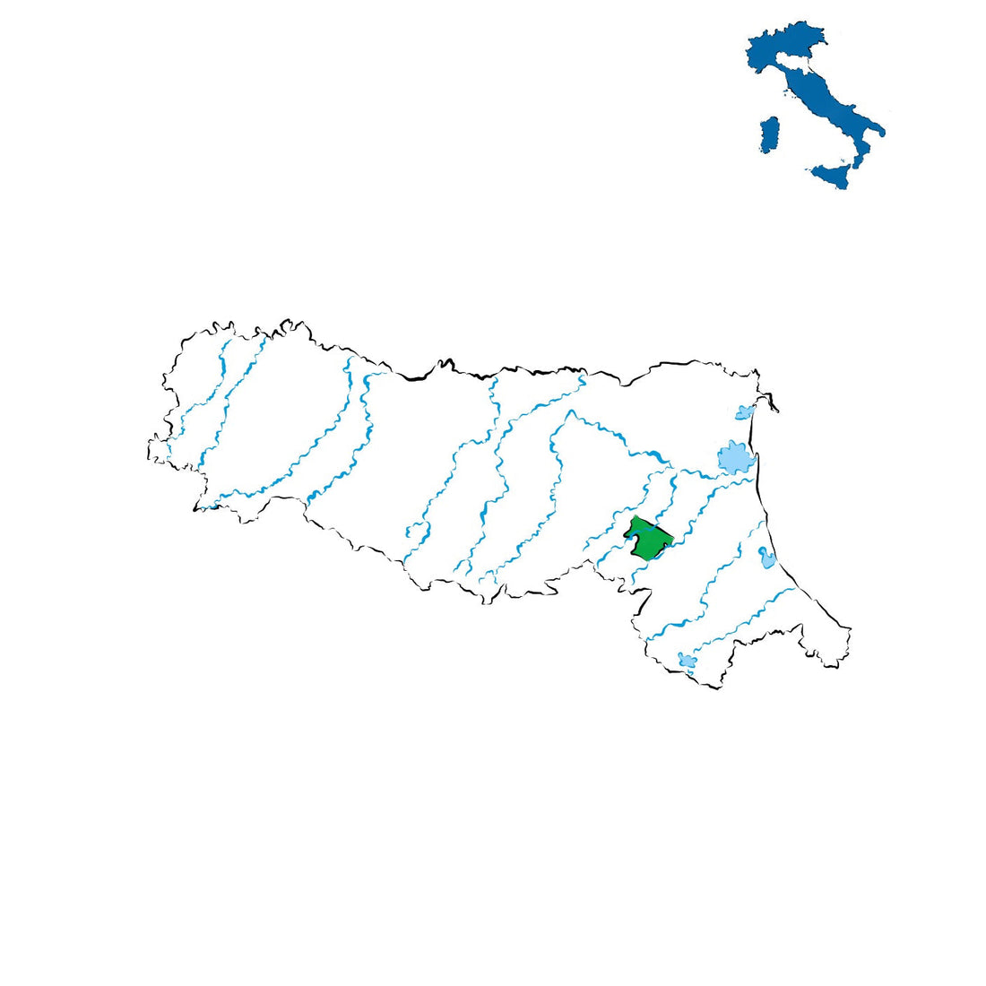 Colli d’Imola DOC: vini dalle colline imolesi