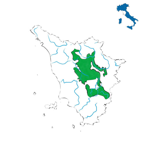 Colli dell’Etruria Centrale DOC: il mosaico enologico della Toscana centrale