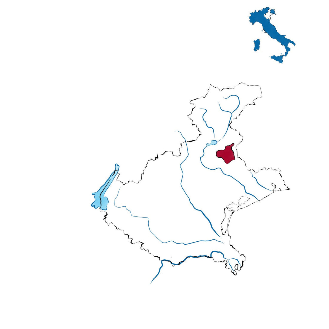 Colli di Conegliano DOCG: l’eleganza dei vini trevigiani