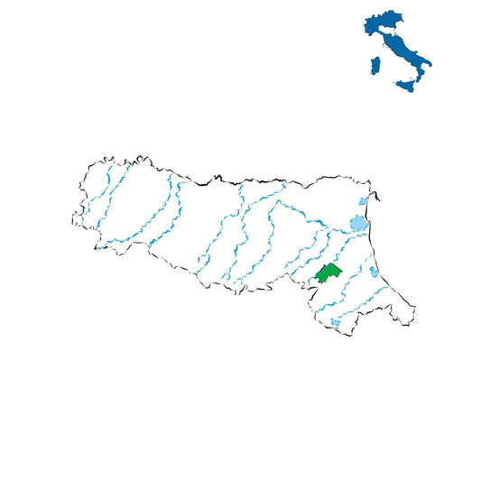 Colli di Faenza DOC: vini delle colline faentine